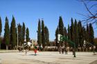 IMG_8350(1)