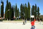 IMG_8367-MOTION