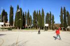 IMG_8369