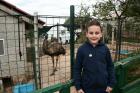 U Malom Zoo U Obrovcu