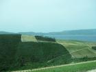 IMG_8828 - 