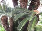 IMG_8860 -  (1)
