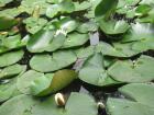 IMG_8860 -  (3)