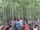 IMG_8884 - Copy