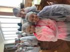 IMG-2876