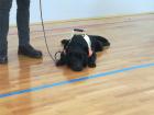 IMG-20200226-WA0035