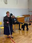 IMG-20200226-WA0072