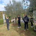 IMG-20231025-WA0050