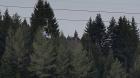 0-02-05-779bb0ea66a3e165c2d81fb9f6c8e3b3276b5c7a45a487a12519d732b28830c0_full