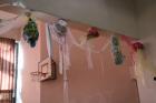 IMG_1867 (640x427)