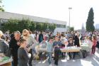 IMG_1874 (640x427)