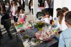 IMG_1912 (640x427)