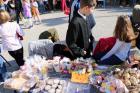 IMG_1917 (640x427)