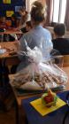 IMG-20170412-WA0039