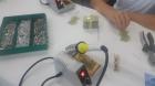 20171012_095742 (800x450)