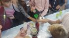 20171012_140052 (800x450)