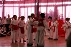 IMG_8800 (1024x683)