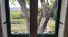 20190413_103856