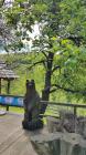 IMG-20190517-WA0068