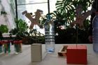 IMG_3215 (640x427)
