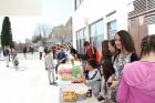 IMG_3230 (640x427)