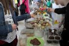 IMG_3237 (640x427)