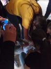 IMG_20160506_154639 (480x640)
