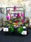 IMG_0817 (478x640)