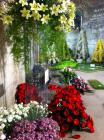 IMG_0820 (478x640)