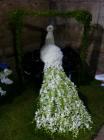 IMG_0822 (478x640)