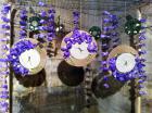 IMG_0830 (640x478)