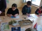 IglicaBozic12_04