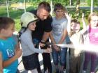 PDMjZasOPoz2013_12