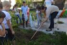 Sadnja-Stabala-Slavica-14