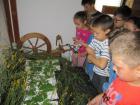 IMG_0587_1024x768