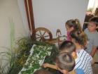 IMG_0591_1024x768