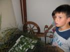 IMG_0598_1024x768