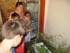 IMG_0599_1024x768