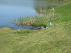 Picture 009