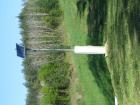 Picture 010