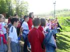 Picture 012