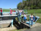 Picture 014