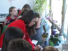 Picture 035