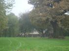 DSC01141