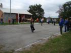 DSC08031
