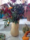 IMG_20171016_105527