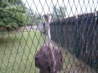SAM_0957