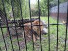 SAM_0964