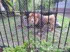 SAM_0965