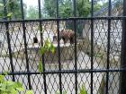 SAM_0966